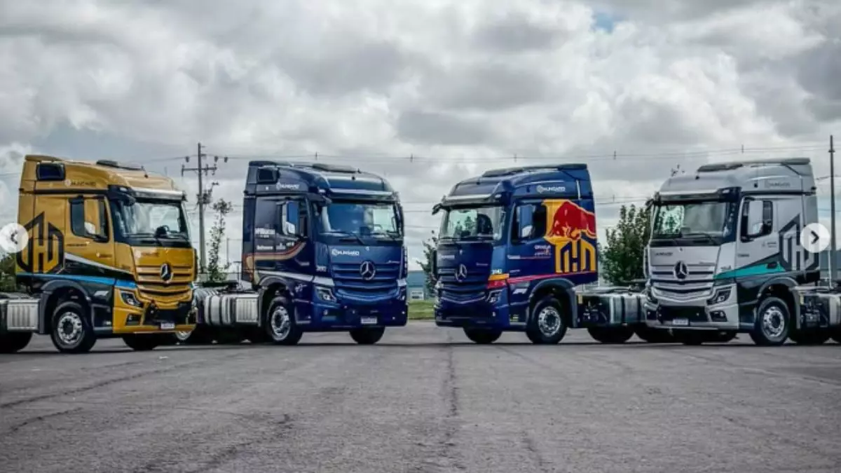 A foto mostra uma frota de caminhões da Hungaro Transportes