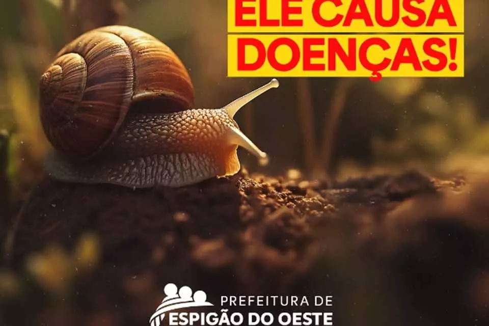 Prefeitura de Espigão do Oeste orienta população no combate ao caramujo africano