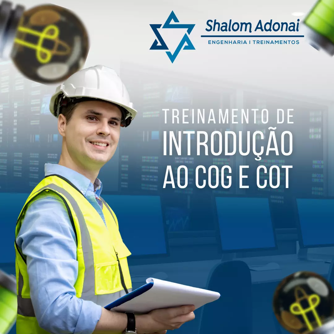 Treinamento de Introdução ao COG e COT Treinamento de Introdução ao COG e COT