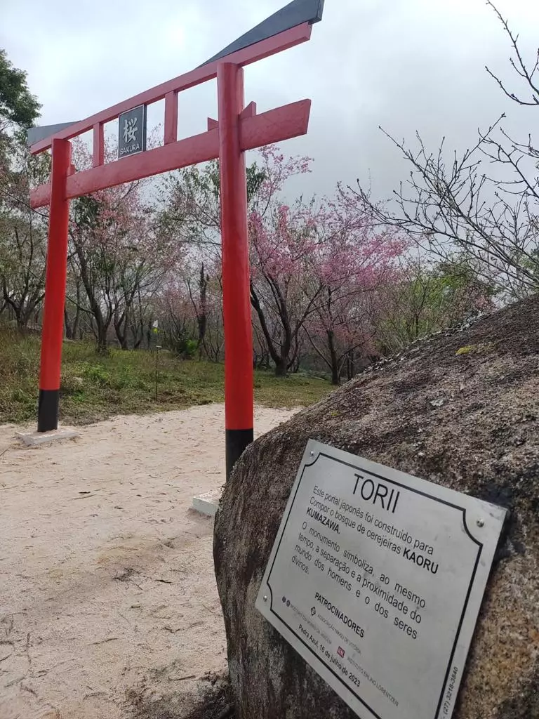 Inauguração do Torii no Bosque de Cerejeiras Kaoru Kumazawa Inauguração do Torii no Bosque de Cerejeiras Kaoru Kumazawa