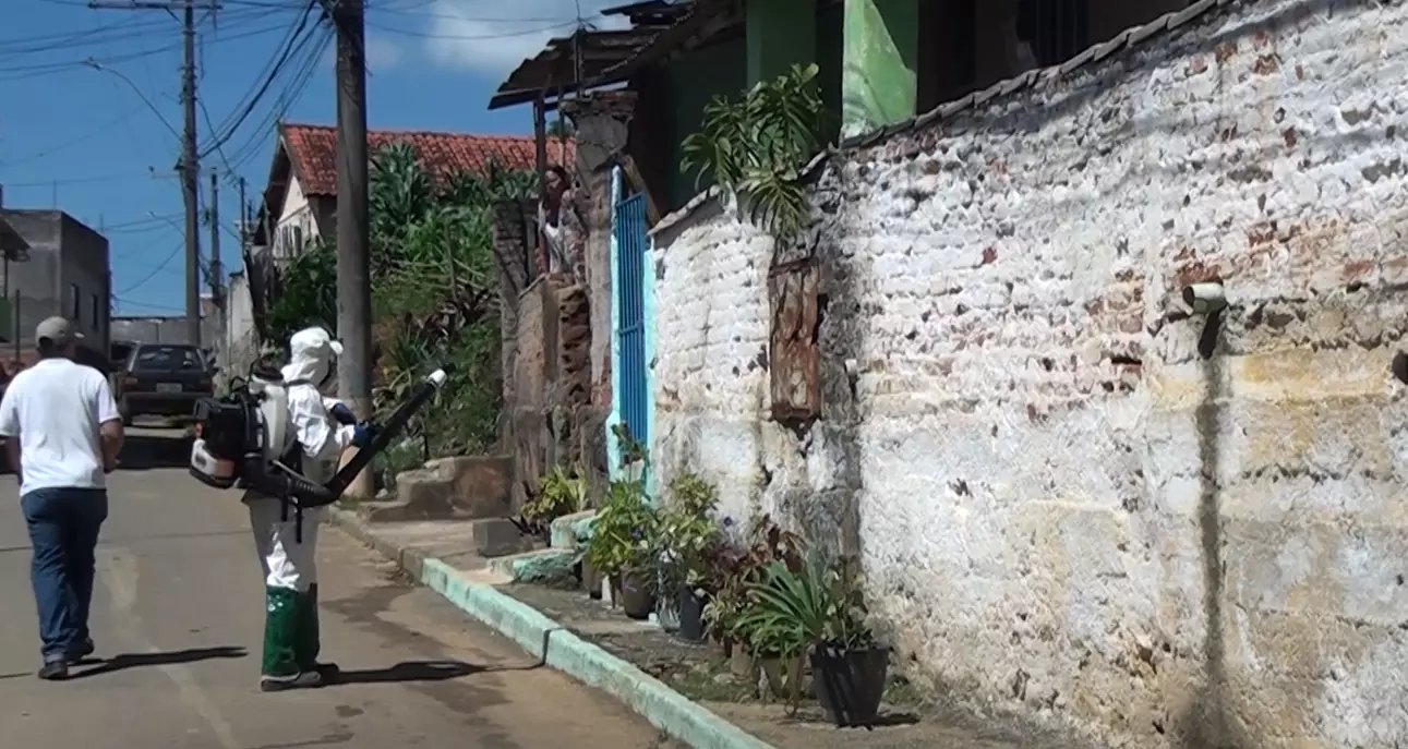 Por que o carro do