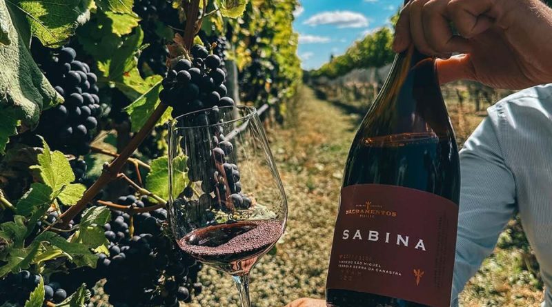 Vinho mineiro é eleito melhor tinto do Brasil em concurso internacional