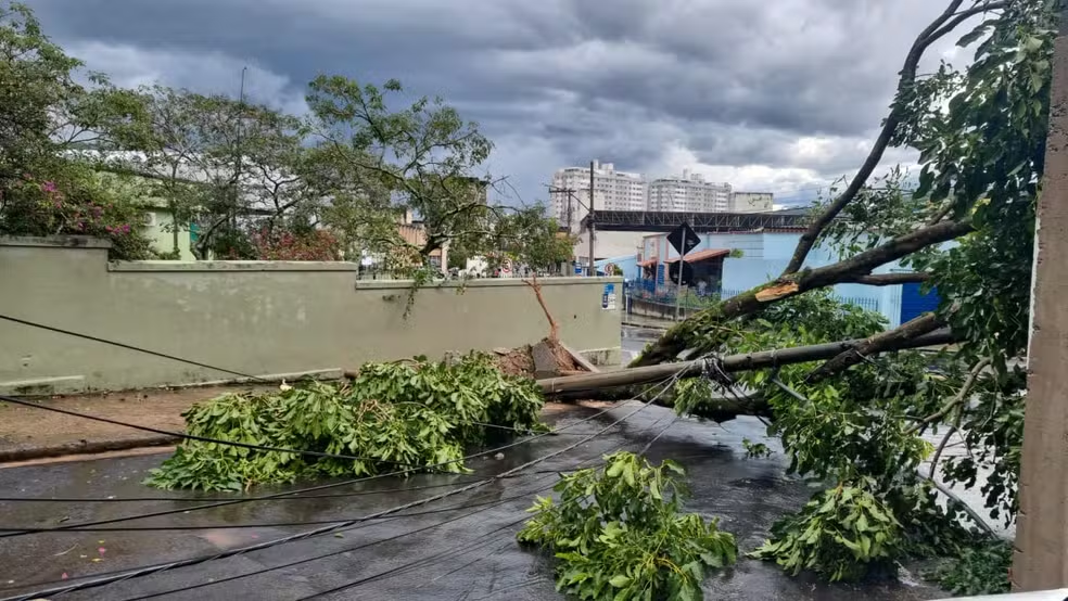 Juiz de Fora tem temporal com granizo e ventos de quase 100km/h
