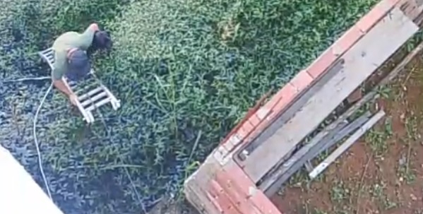 Vídeo: cachorro é resgatado após cair em vão na Travessa Madre Dolores no Centro de Santos Dumont