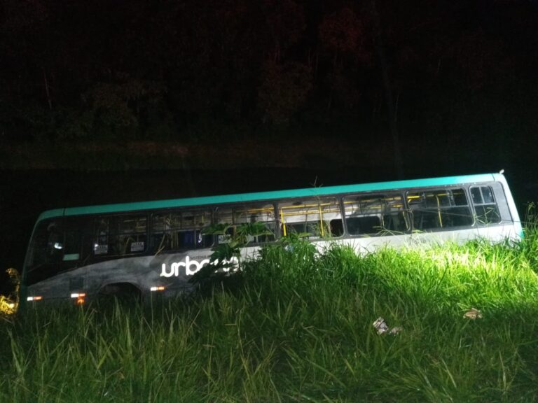 Ônibus cai em margem do Paraibuna