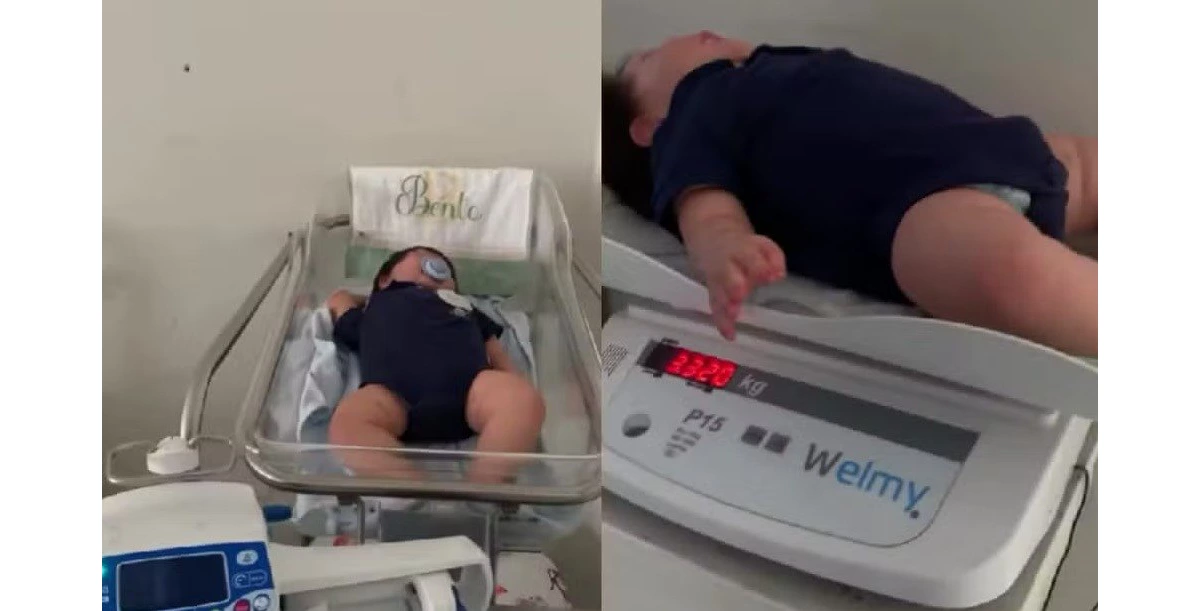 Projeto de lei quer proibir atendimento a bebê reborn no SUS em Minas Gerais