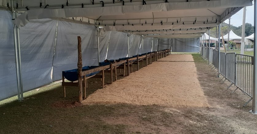 Leilão Beneficente em prol da Ascomcer acontece neste domingo no Parque de Exposições de Santos Dumont