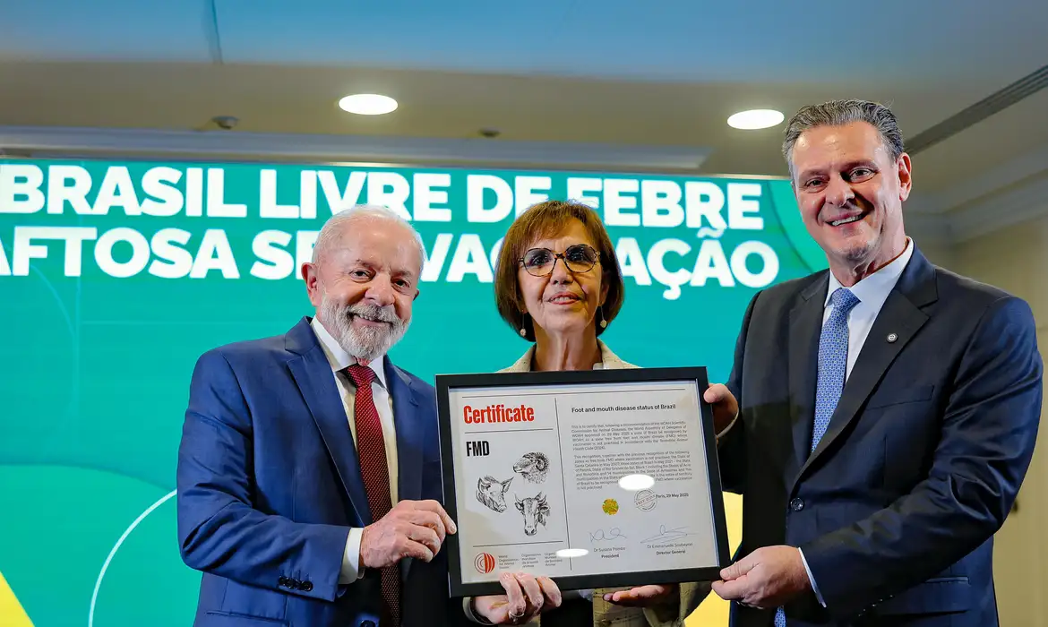 Brasil recebe certificado de país livre da febre aftosa