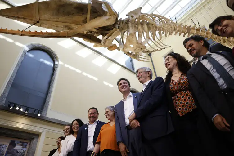 Museu Nacional do Rio reabre para exposição sete anos após incêndio
