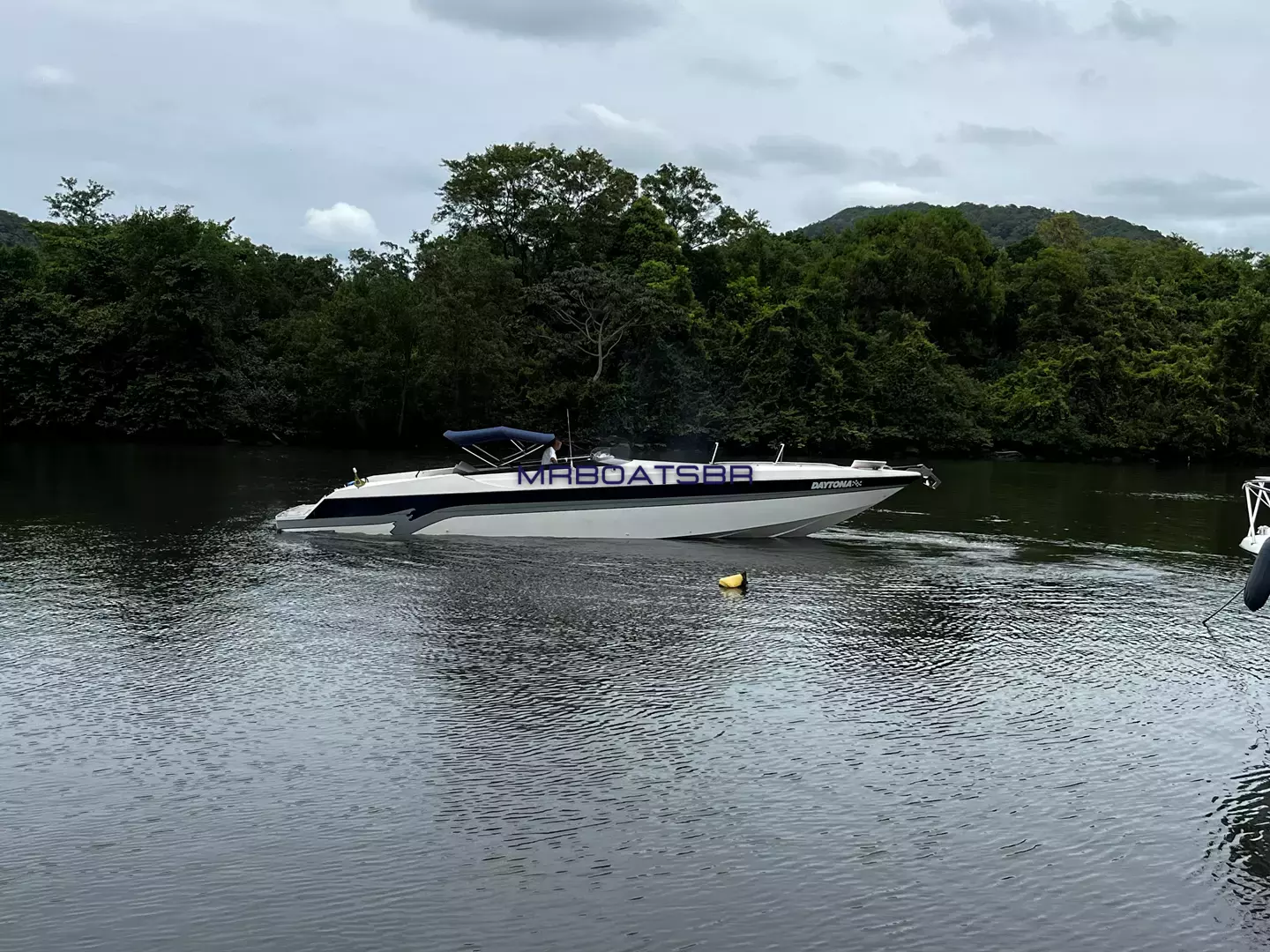 Intermarine Cougar 42