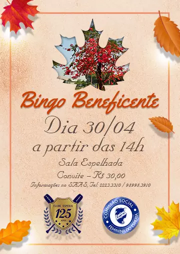 Bingo Beneficente Bingo Beneficente
