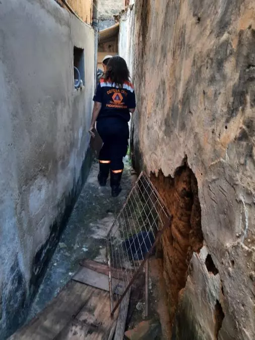 Defesa Animal de Pinda encontra cão e gato mortos; responsável será multado em R$ 12 mil