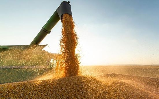 PIAUÍ – Estado desponta como potência do agronegócio brasileiro