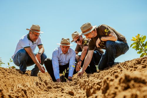 SUSTENTABILIDADE - Galvani Fertilizantes intensifica investimentos em energia renovável no oeste da Bahia