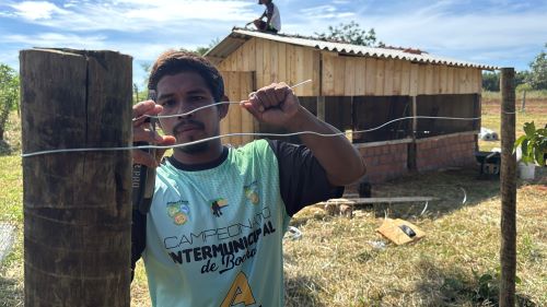 GALINHEIROS COMUNITÁRIOS: Projeto garante segurança alimentar em comunidades indígenas do Paraná