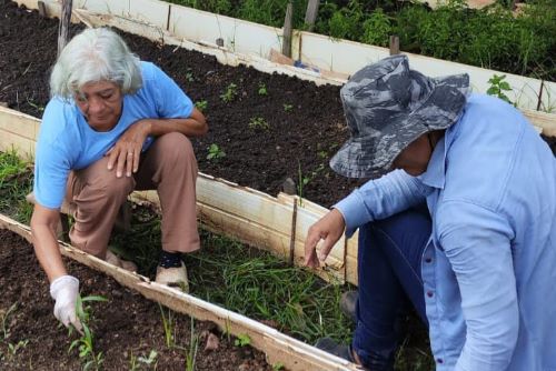MARIA DA LUZ: Horticultora comunitária pioneira do Cadastro da Agricultura Familiar em Palmas