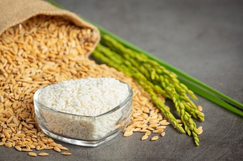 FORTALECIMENTO - Governo lança crédito extraordinário para aquisição de arroz da agricultura familiar