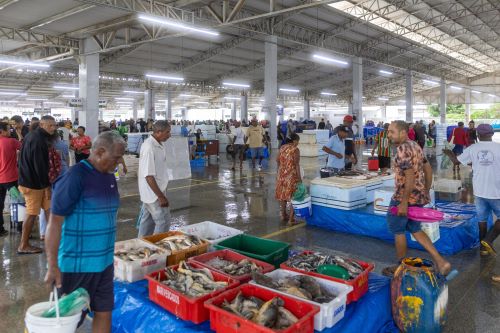 INFRAESTRUTURA  - Entreposto Pesqueiro do Maranhão reforça mercado de pescados