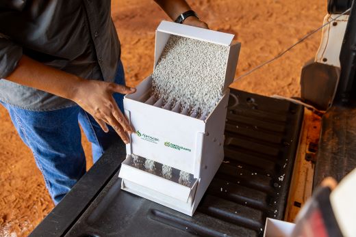 CUSTOS - Desafios econômicos e a inflação alimentar no Brasil geram pressões no setor agropecuário