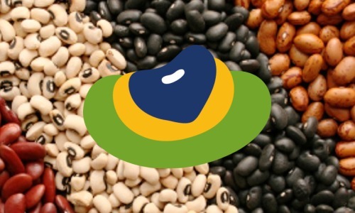 AGRO NAS ESCOLAS: Celebrando o feijão, conector entre o campo e a cidade