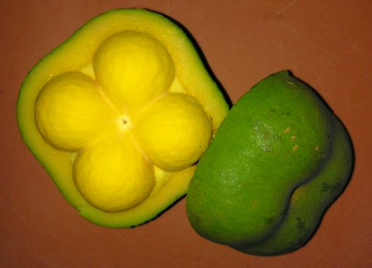 PEQUI EM PÓ: Inovação gastronômica e sustentabilidade no Cerrado