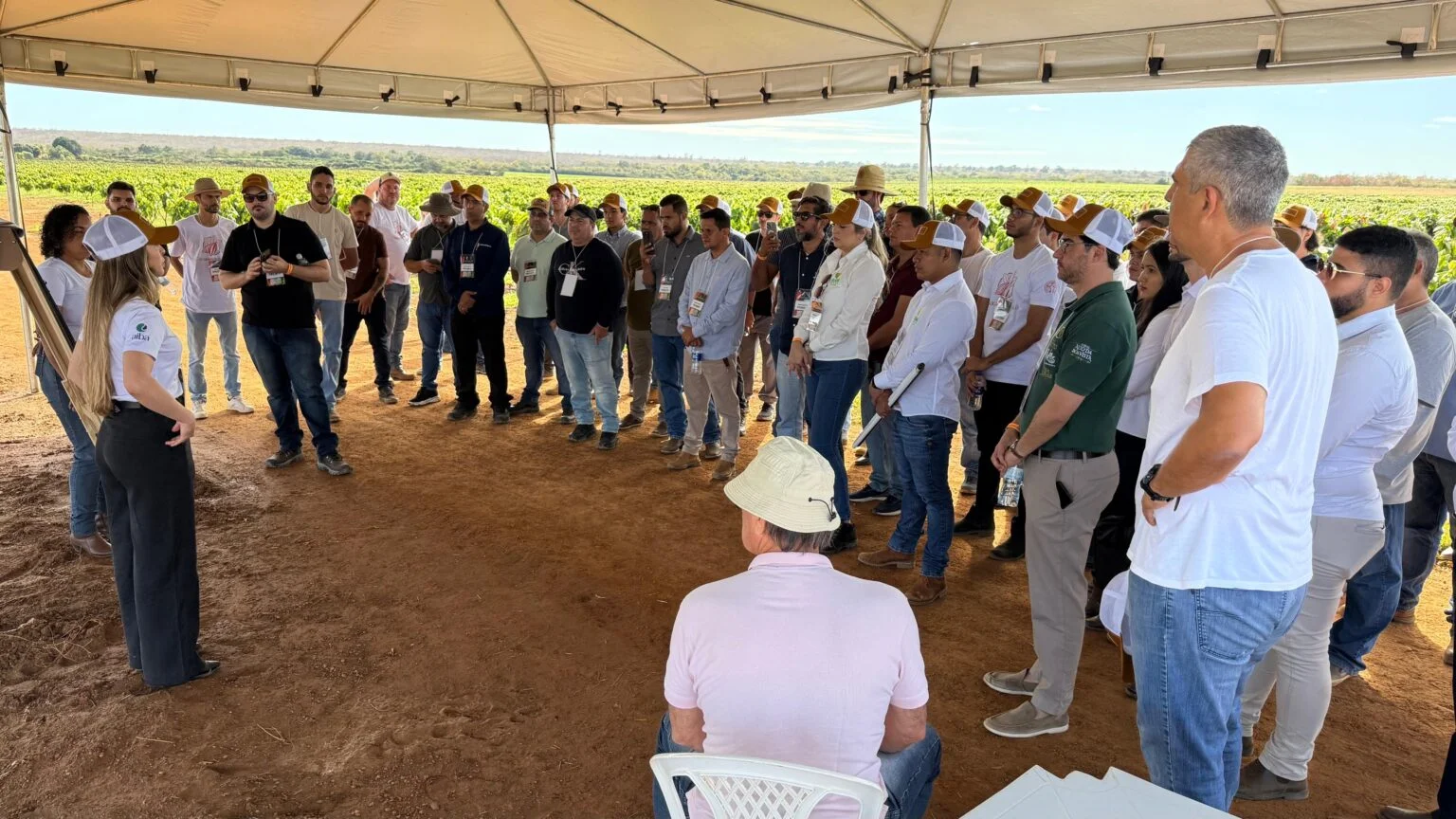 CACAUICULTURA 4.0 ][ Evento  encerra com dia de campo e projeta futuro da produção a pleno sol no Cerrado baiano