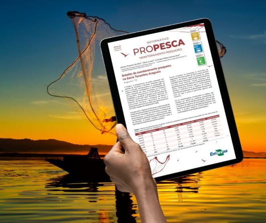 BIOECONOMIA  ][ Propesca impulsiona bioeconomia da pesca artesanal no Tocantins