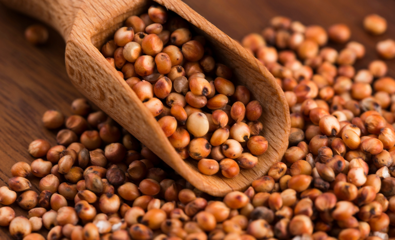 MERCADO CHINÊS ][ Brasil habilita 15 novas unidades para exportar sorgo e DDG à China