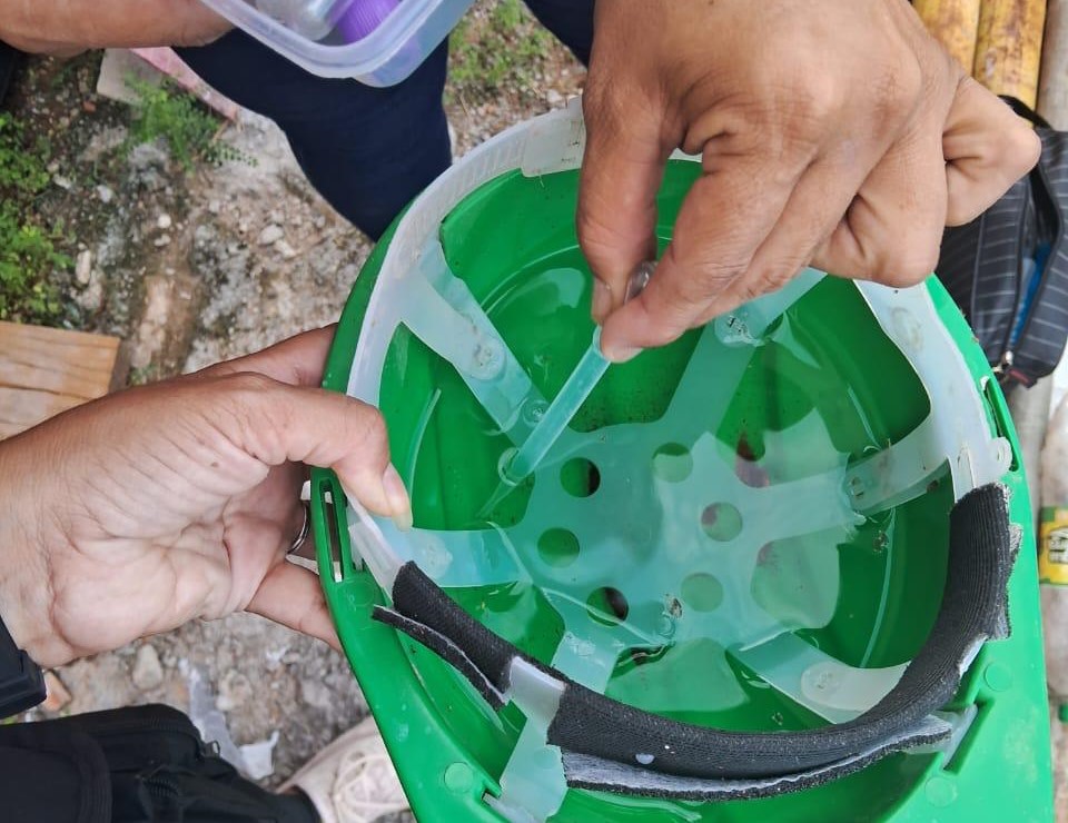 Secretaria de Saúde de Barra Velha atualiza Boletim da Dengue da Dengue