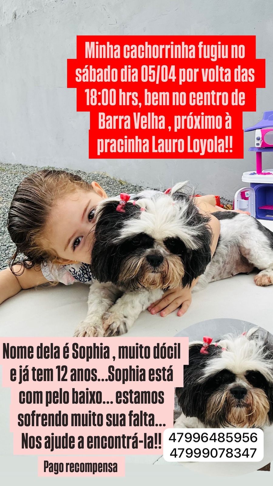 ESTOU PERDIDA EM BARRA VELHA, QUERO VOLTAR PARA CASA, PAGO RECOMPENSA. FONE: 47-99907-8347