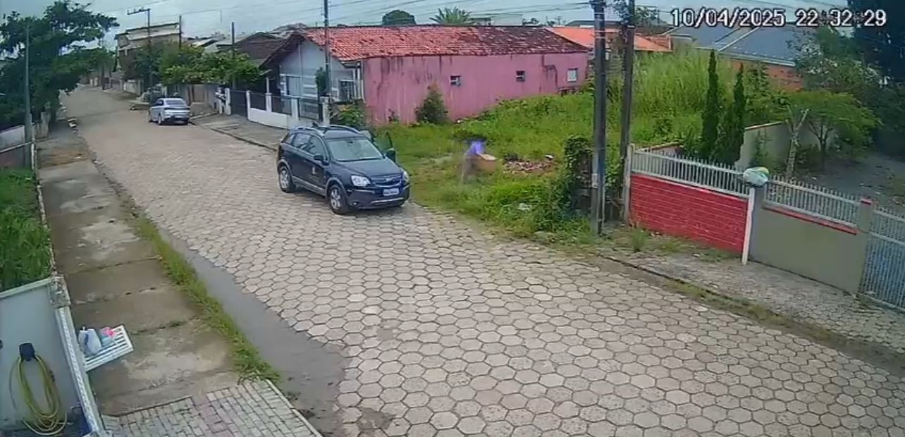 CAMARAS FLAGRAM MULHER ABANDONANDO 10 FILHOTES DE GATO EM BARRA VELHA