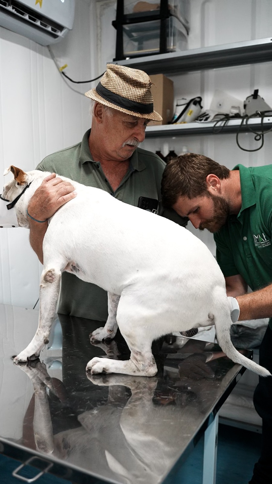 IMAP amplia vagas de castrações e atendimentos veterinários gratuitos