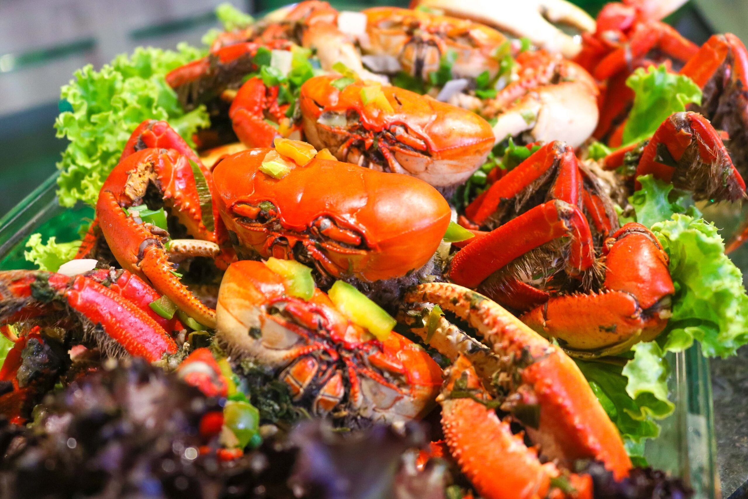 8ª Festa do Caranguejo valoriza cultura do manguezal e movimenta economia de Araquari