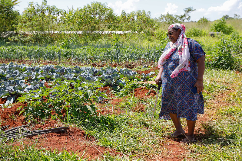 Mulheres no camp: 9,4 mil mulheres cultivam alimentos e fortalecem a agricultura familiar no DF