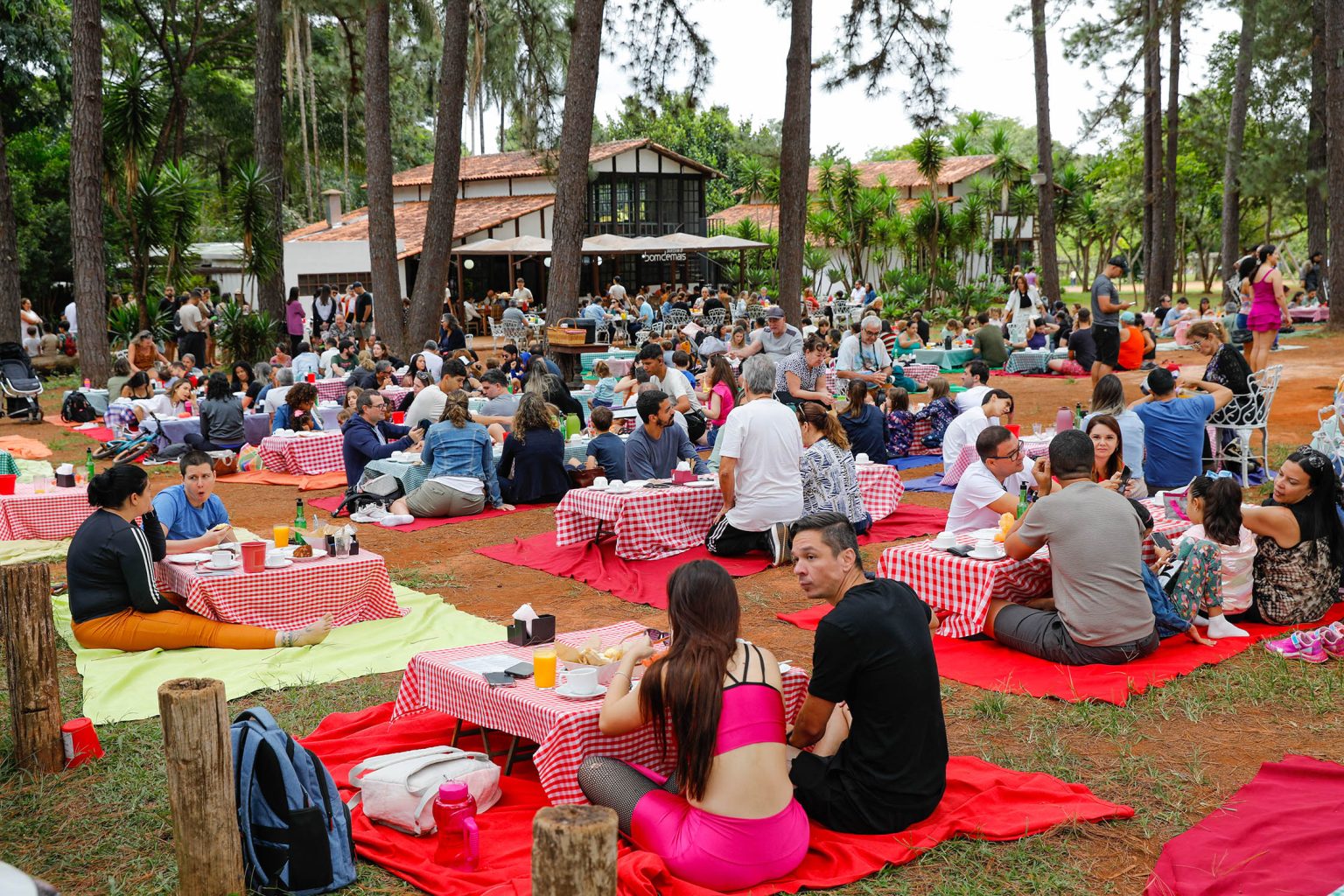 Zoológico de Brasília e Jardim Botânico terão acesso gratuito aos domingos e feriados