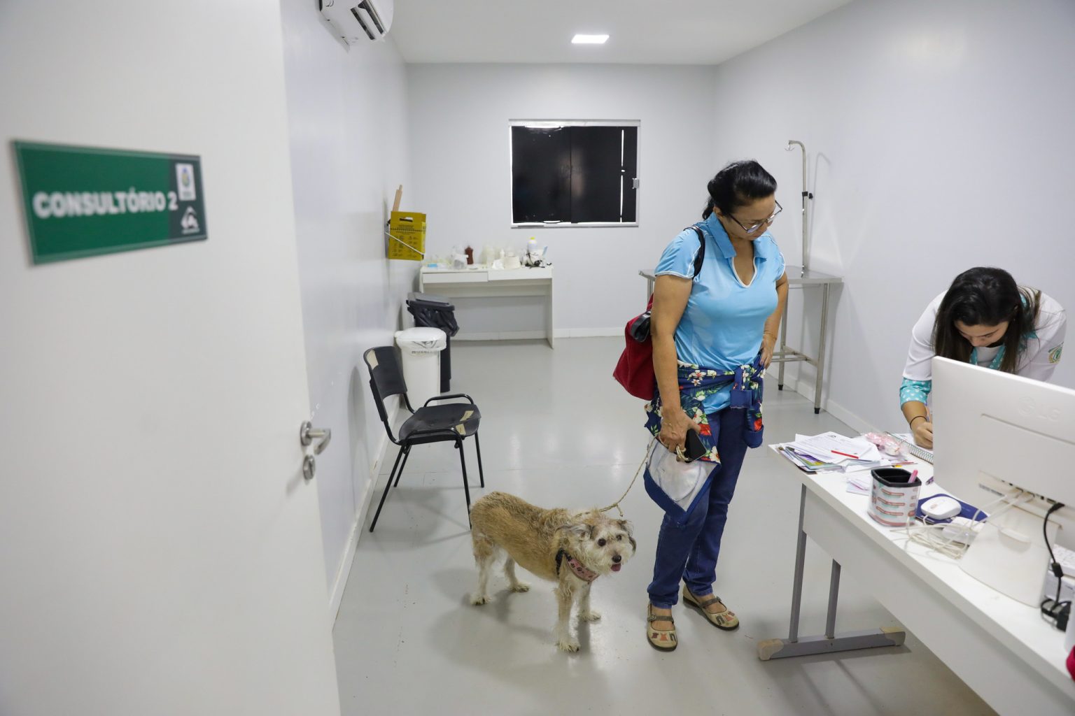 Campanha Abril Laranja sensibiliza a população contra a crueldade animal