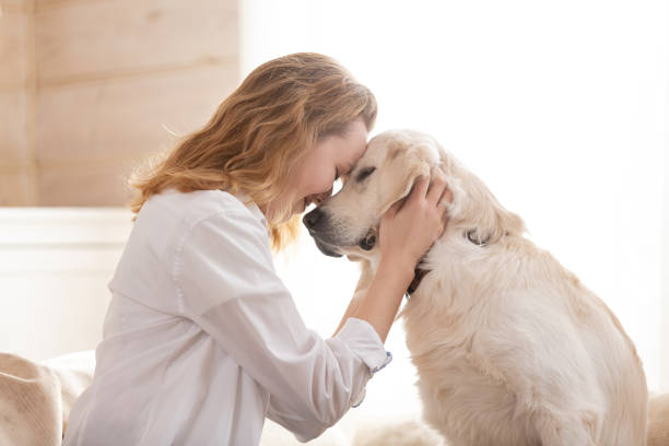 Muito além do companheirismo! O papel dos animais no bem-estar mental