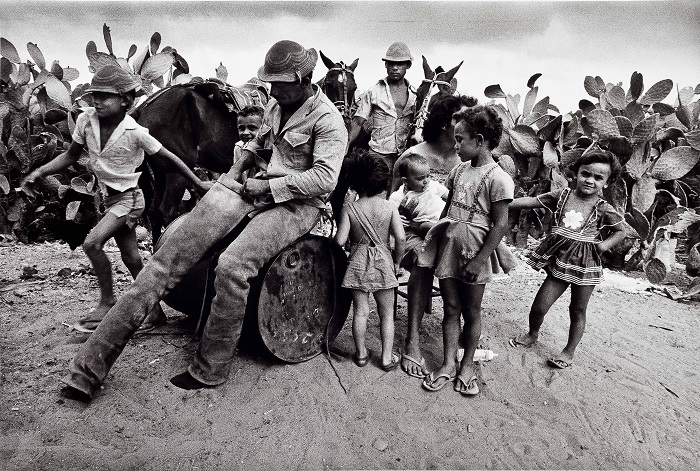 Últimos dias para visitar a exposição “Uma história da arte brasileira”, em cartaz no CCBB Brasília até 8 de feverei