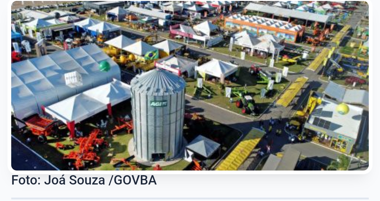 Agronegócio respondeu por 22,5% da economia baiana em 2024