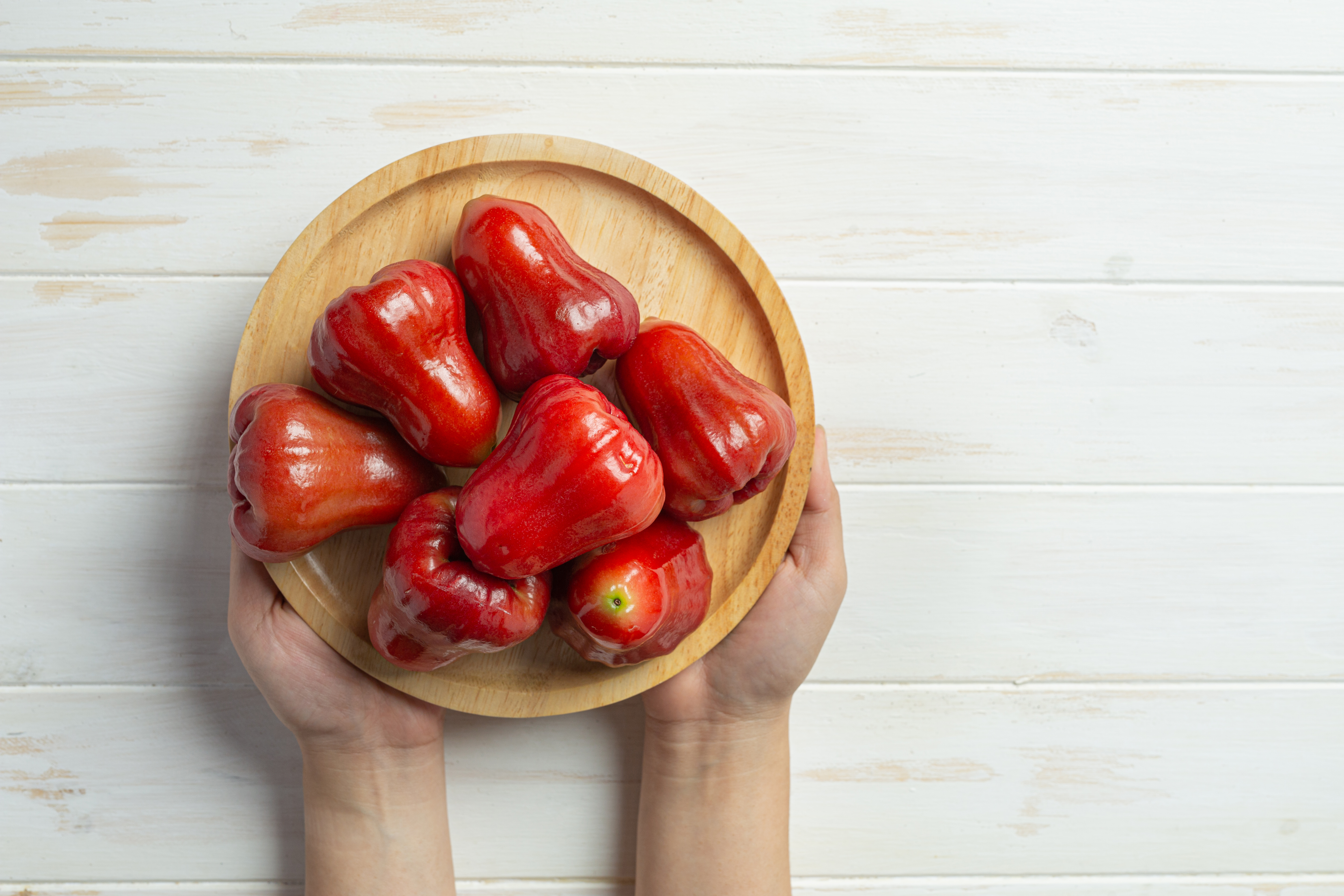 Caju: a fruta brasileira rica em antioxidantes que fortalece o corpo e pode ser cultivada em casa